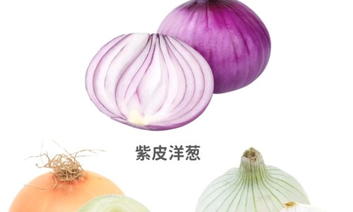 油菜花的营养价值及功效网油菜花的营养价值及功效与作用知识网站,分享油菜花的价值和用途大全